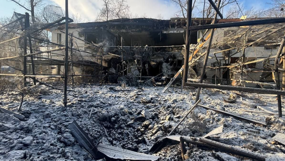 Армія РФ атакувала екопарк у передмісті Харкова: леви поранені, птахи загинули